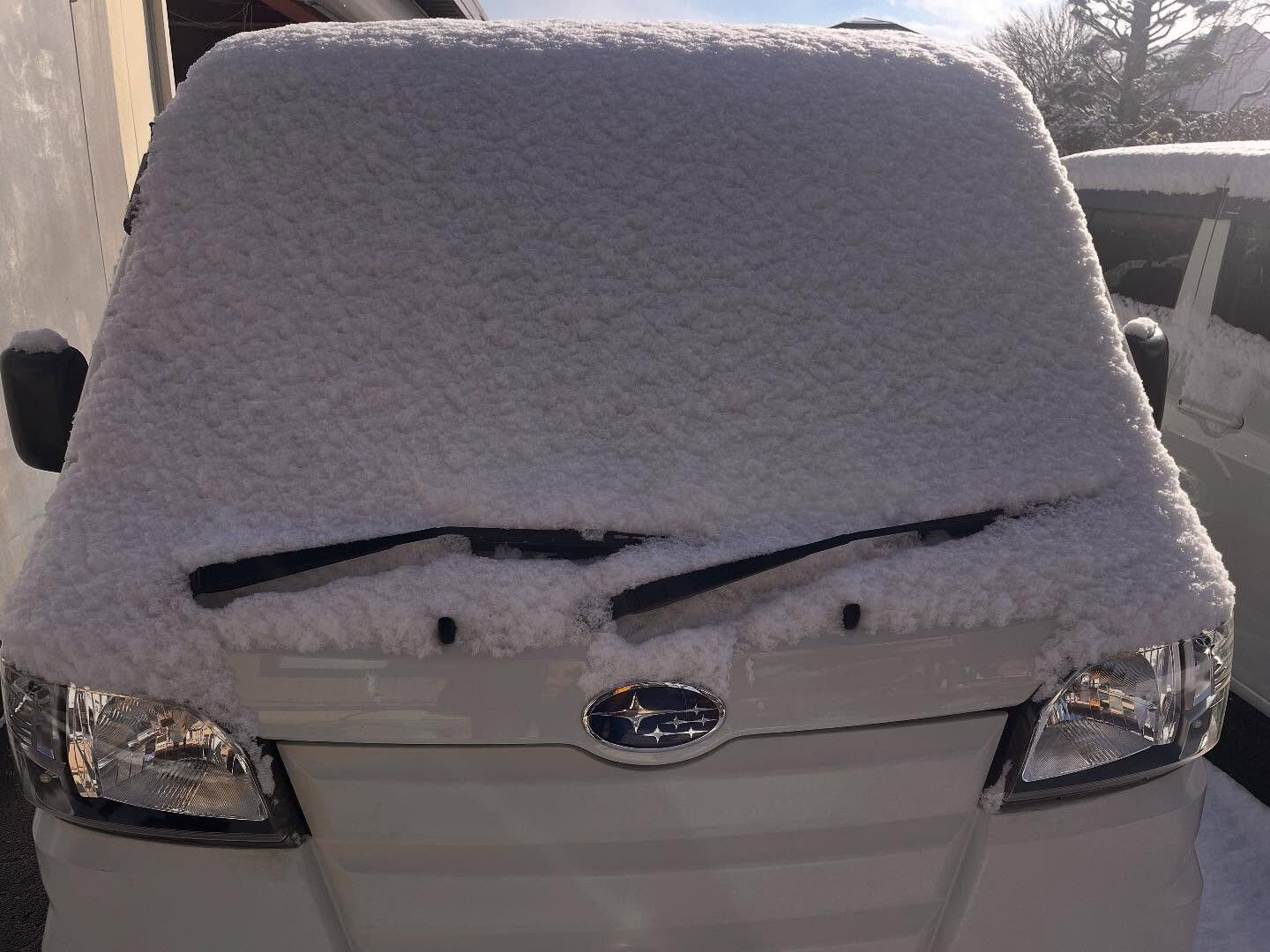雪降りました