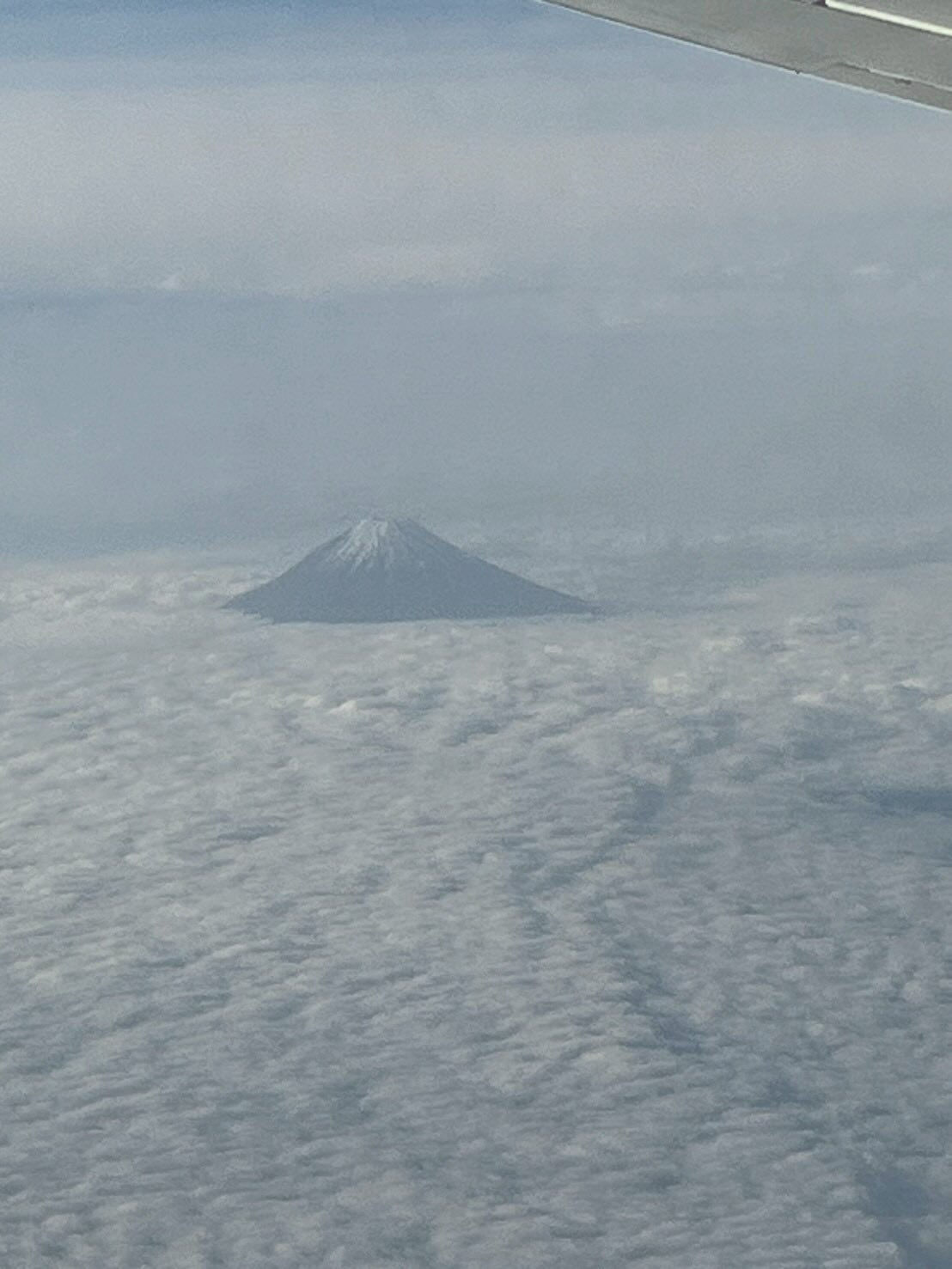 ３日目（帰宅日）