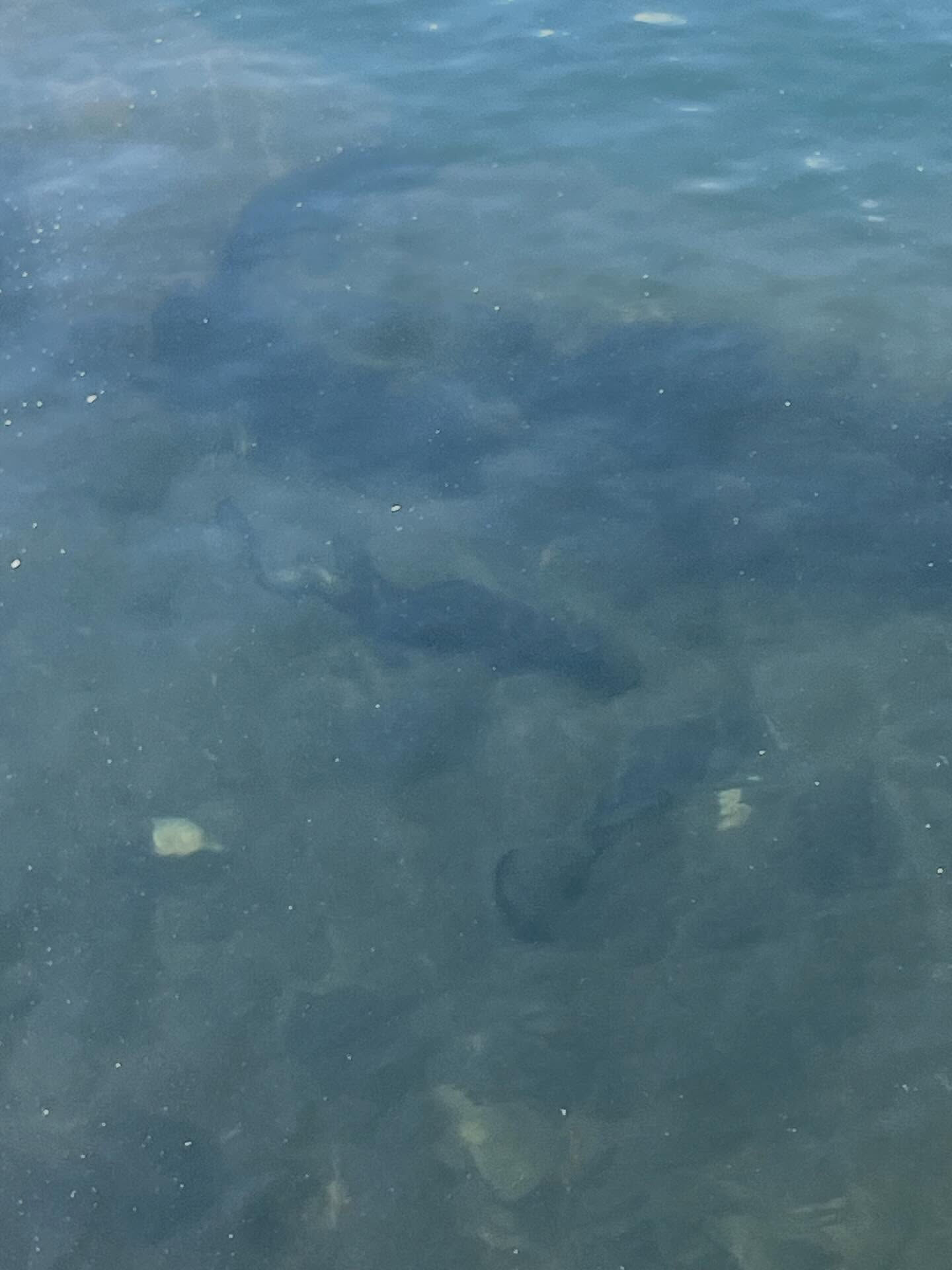 頑張っとるなぁ😘 