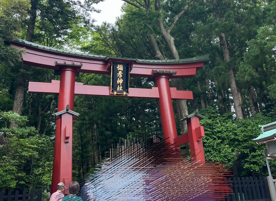 6月14日　日曜日