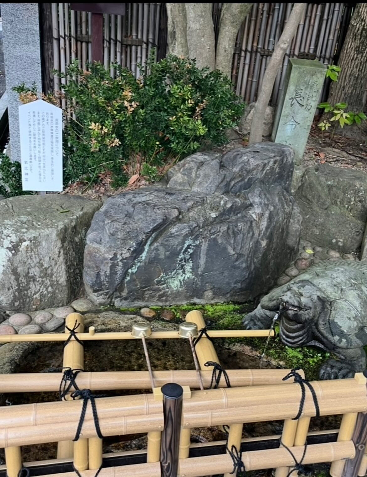 6月15日　月曜日