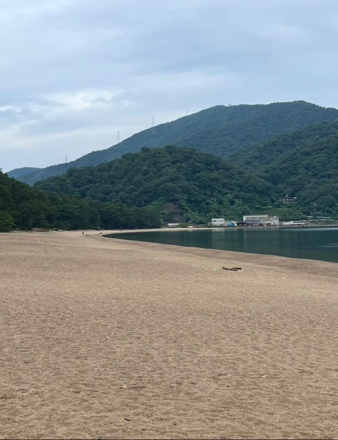 6月15日　月曜日