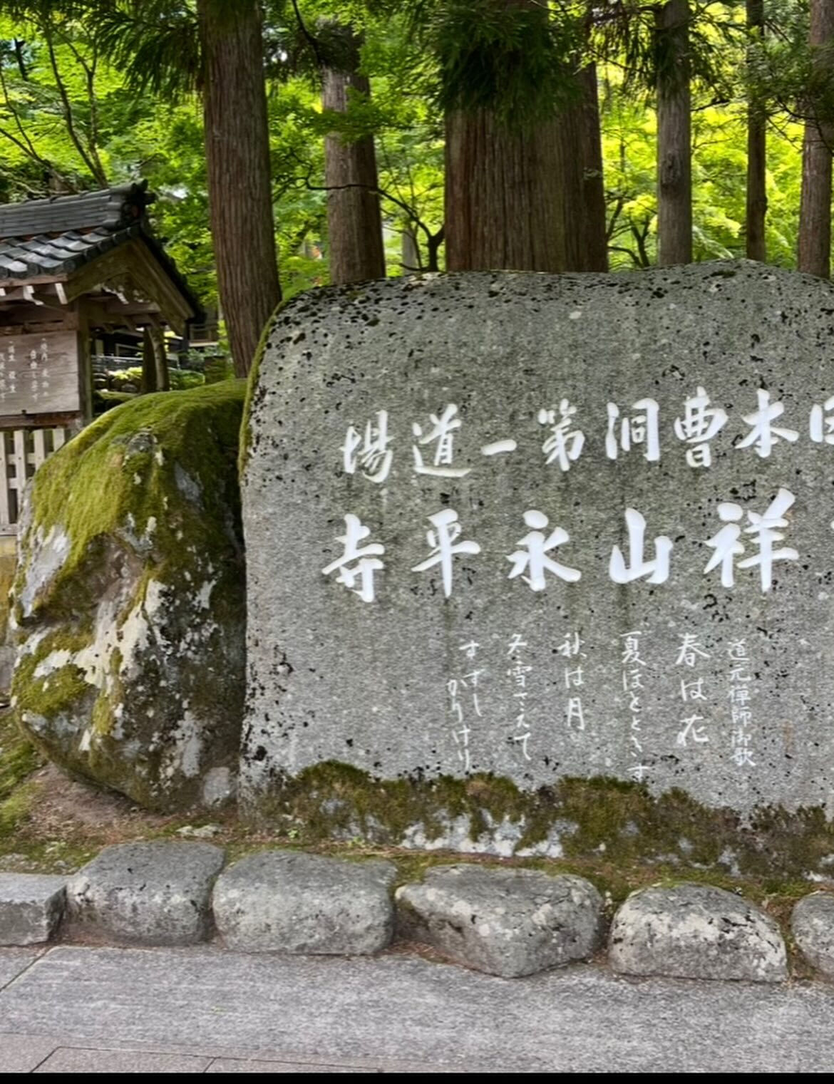 6月15日　月曜日