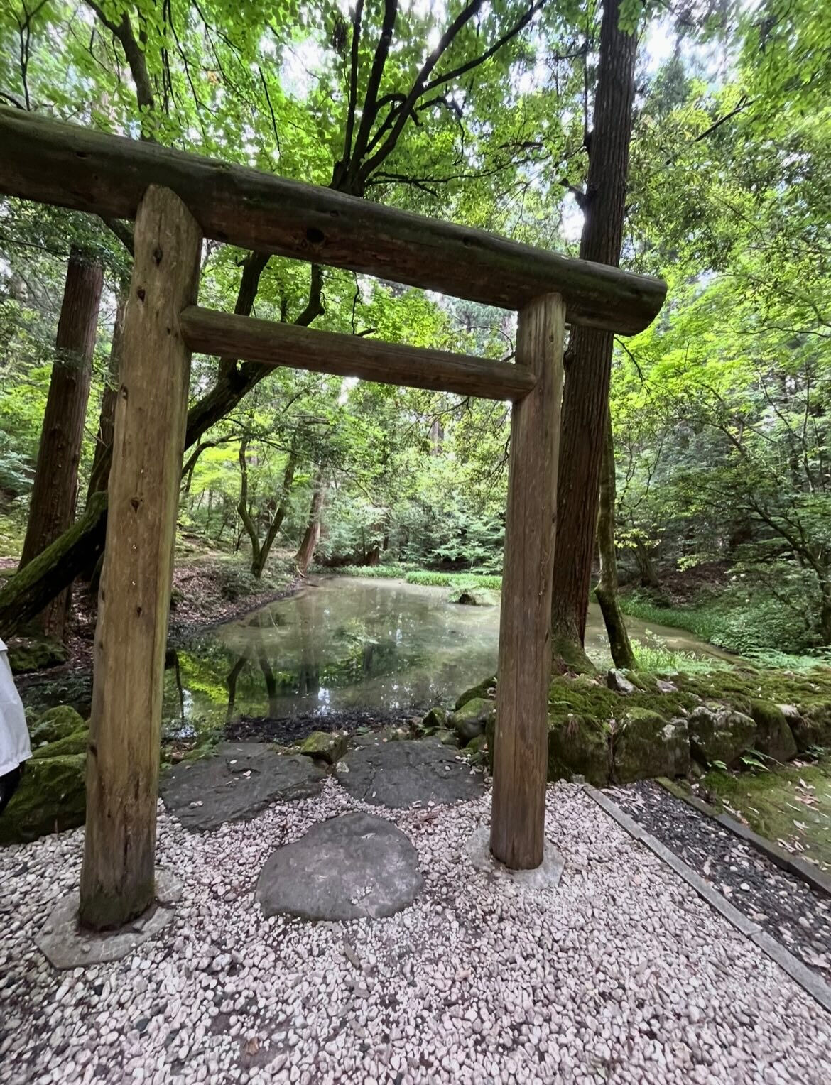 6月15日　月曜日