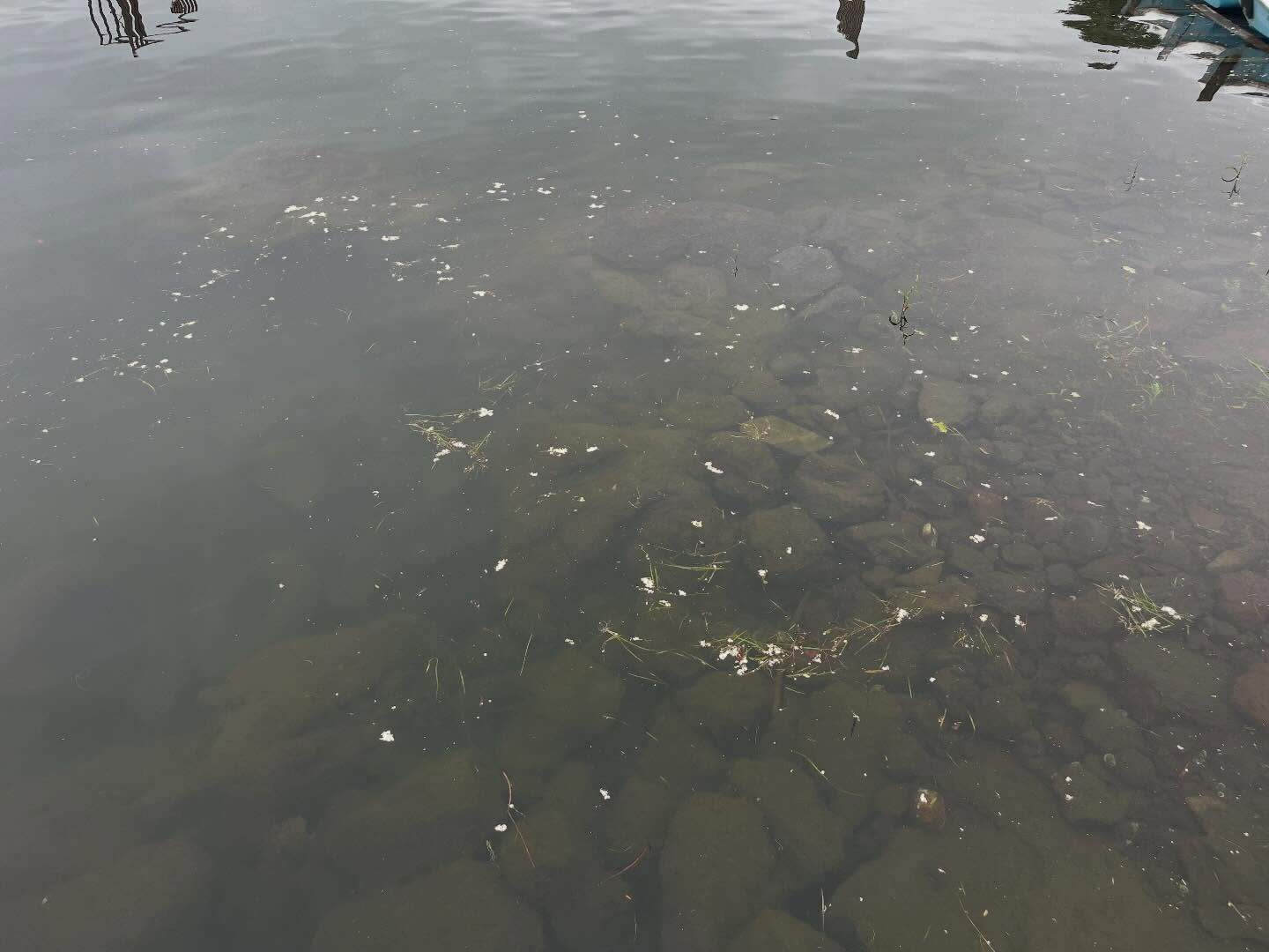 台風中休み？降っていないので浜へ来てみました