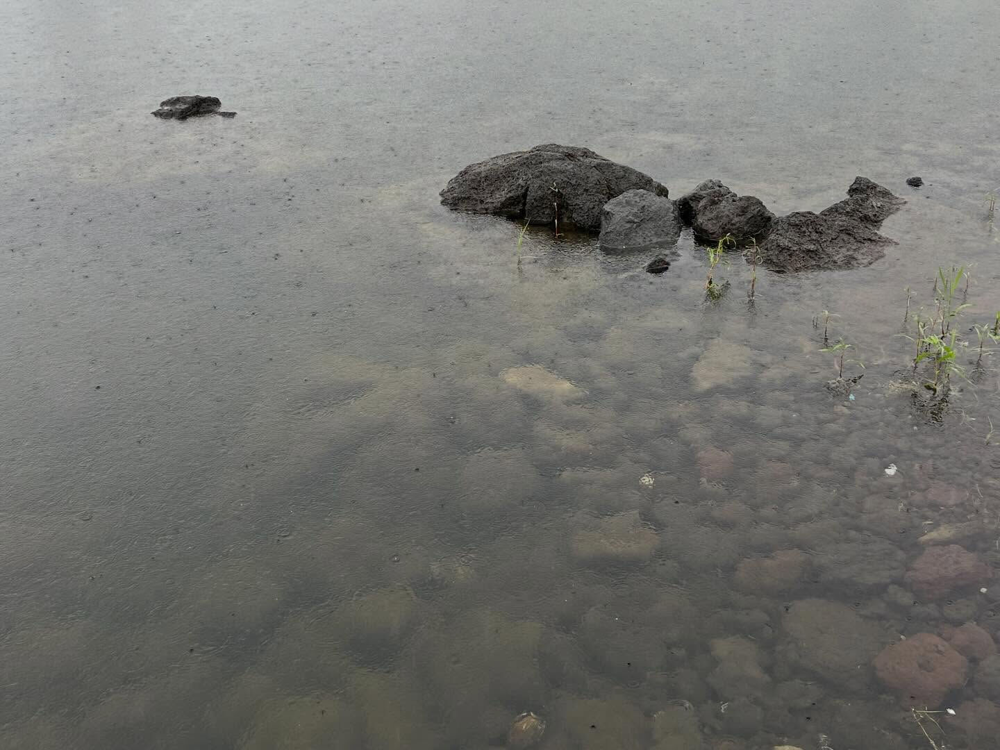 台風中休み？降っていないので浜へ来てみました