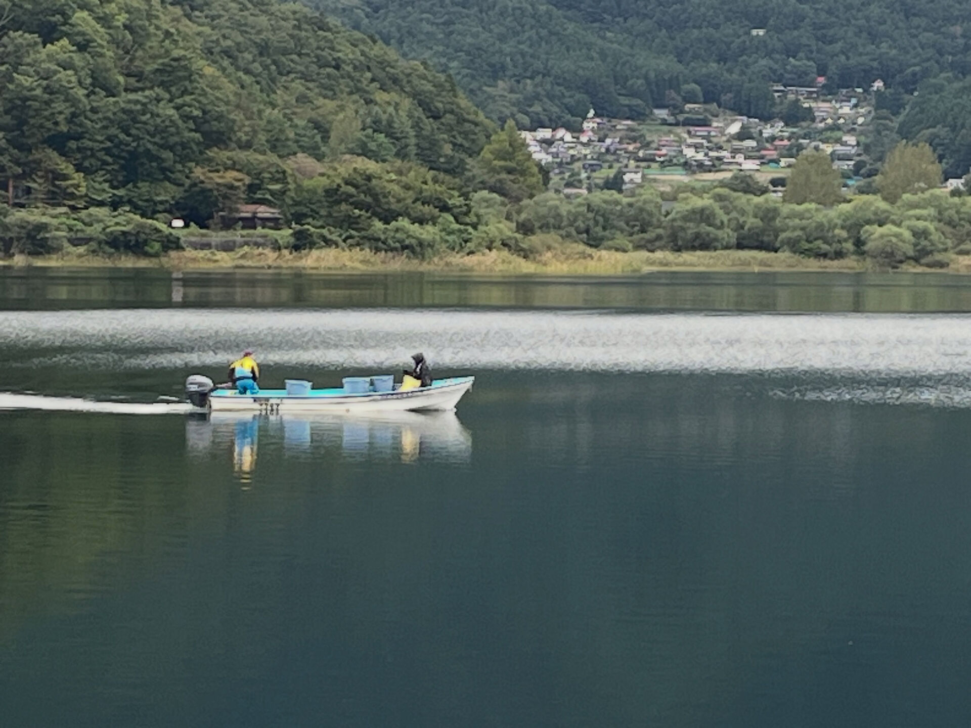 放流？10秒程で去りましたが🤔7:00頃です
